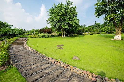 Our Hardscaping Process